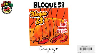 Video Cangrejo de Bloque 53