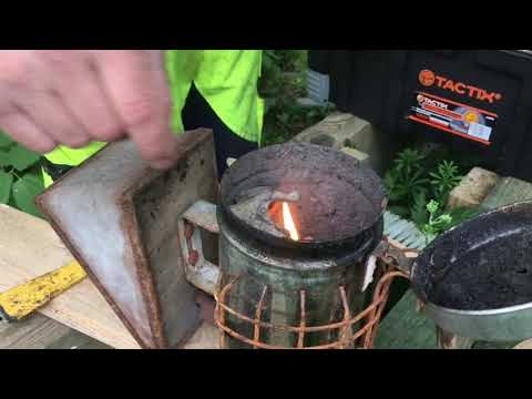 Biodling med Morgan Levin