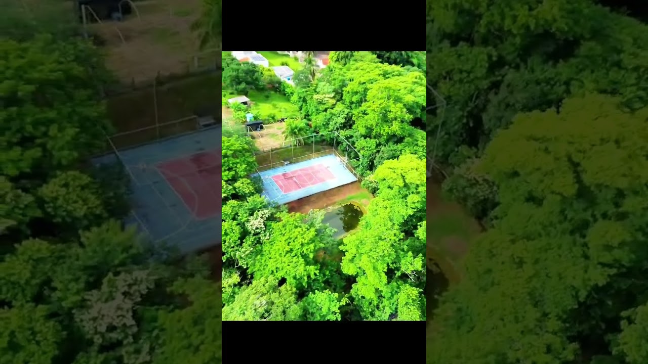 Thumbnail do Tour Tour