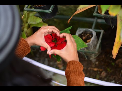 "Mellifluence" #1 #KandaNaalMudhal