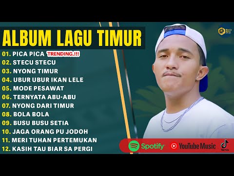 PICA PICA - JUAN REZA | STECU STECU - FARIS ADAM | LAGU TIMUR VIRAL TIKTOK 2025 | LAGU JOGET TIMUR