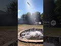 Goose's Wild Firecracker Prank 💥 Cat Launched into Orbit!