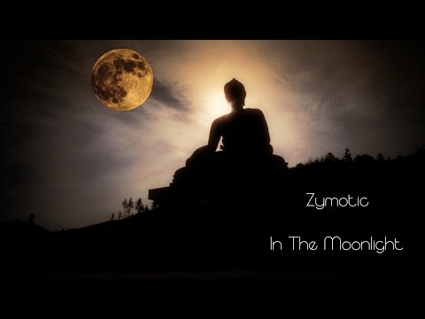 Zymotic - In The Moonlight