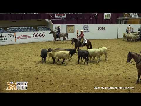 WR Hotshot ridden by Cayley R. Wilson  - 2017 Snaffle Bit Futurity (Herd Work, IO/LO FINALS)