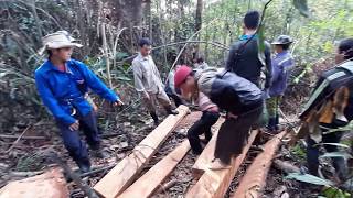 Pab tij nraj xeeb kwv ntoo 11/22/2019 Pab tij nraj xeeb kwv ntoo 11/22/2019