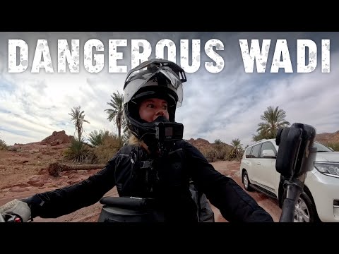 Unexpected rainfall changed everything  - SAUDI ARABIA 🇸🇦 | S8, EP38