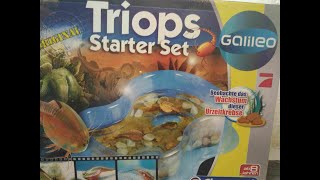 Triops Zuchtanfang # Tag 1
