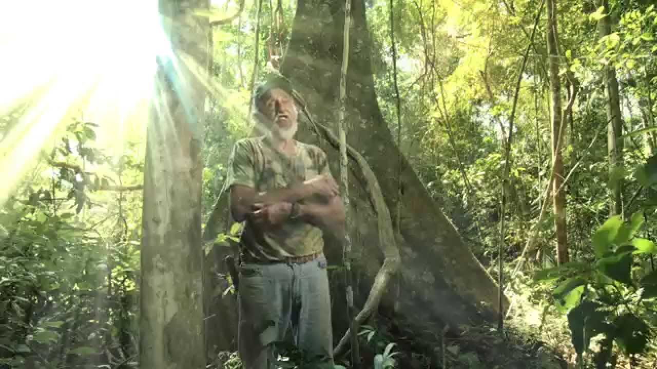 Somos Amazônia - Raimundão (Reserva Extrativista Chico Mendes)