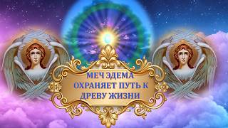 СЛУЖБА РУБИНОВОГО ЛУЧА28092026