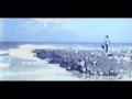 The Gathering - My electricity (subtitulos español)