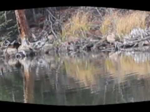 EDEN IVY - CRYSTAL METH (music video)