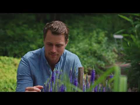 BUGA Außenstandorte mit Johannes Ludwig - Wohlfühloasen und Wasserwelten.