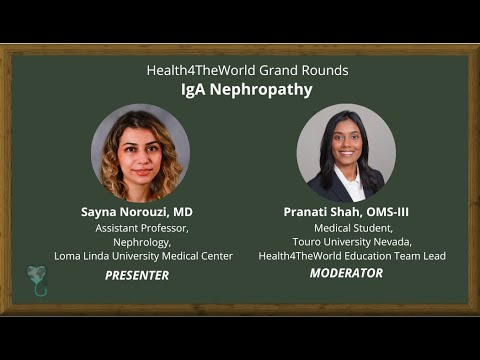 Nephrotic Syndrome and Proteinurias