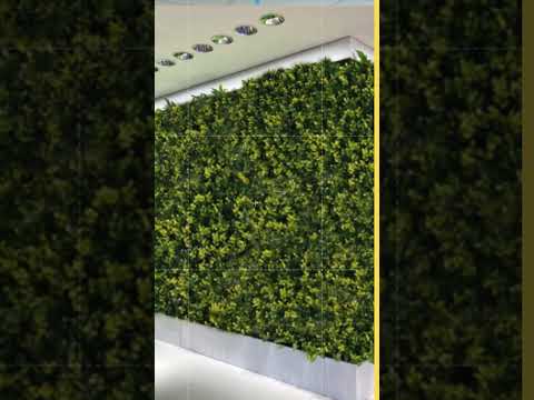 Vertical Green Wall