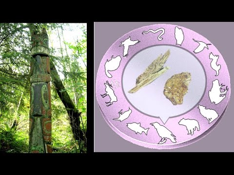 SCP - 1579 and PO 00093  New Skin, Stick and Stone