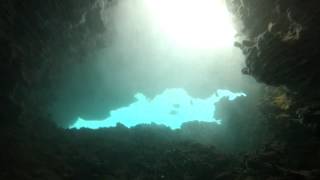 Love for the Ocean, and Light