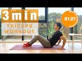 気になる二の腕!夏に向けて、3分間の三頭筋トレーニング!// 3min TRICEPS WORKOUT