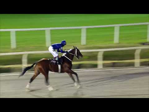 230617 c13 BRAVO GLORY (BRZ)