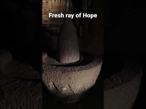 Fresh ray of Hope #experientialtravel #agritourism #nature #ruraltourism