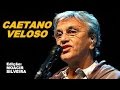 SOZINHO (letra e vídeo) com CAETANO VELOSO ...
