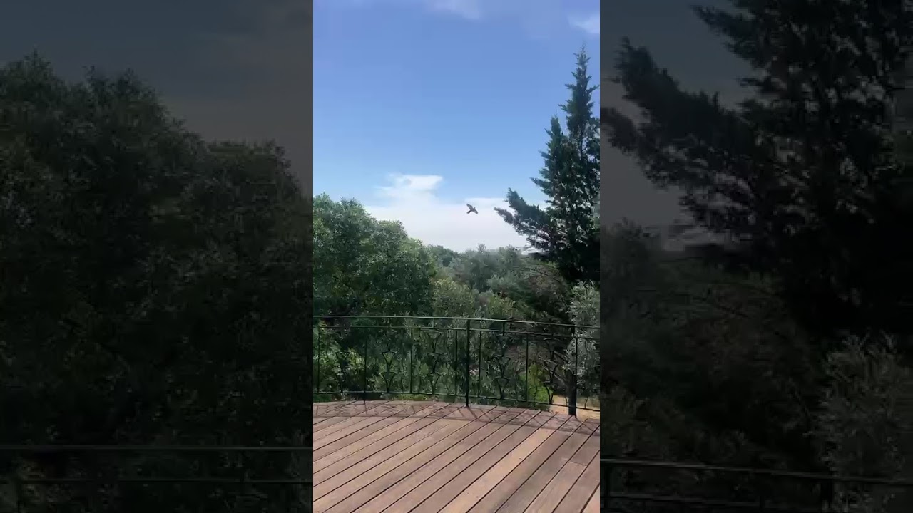 Vídeo do imóvel