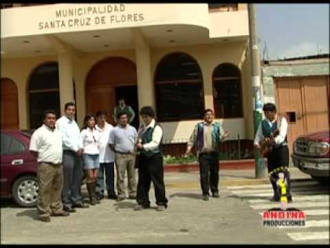 Amor vuelve amor   Gorrión Tauripampino