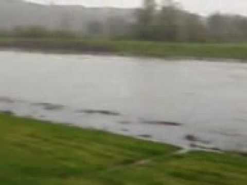 Rzeka Raba 16.05.2010.