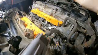 Tacoma knock sensor harness Rodent damage #customerstateswhat