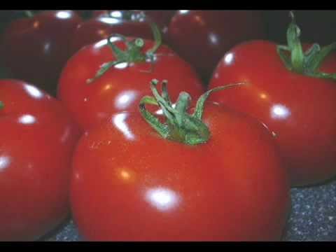 TREM O LOONY präsentiert  Fahrstuhlmusik 1