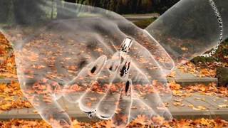 Irmin Schmidt - Verdi Prati Valse