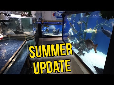 Summer Fun Fish Update: Lots of Breeding at OFR