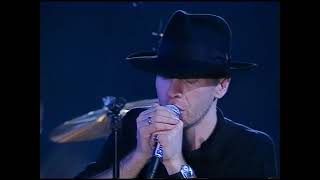 THE THE - DOGS OF LUST (live)