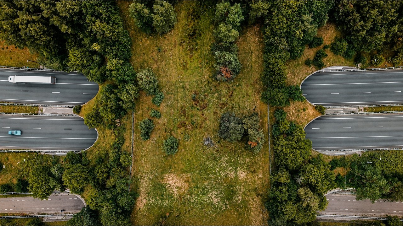 Ecoduct Woeste Hoeve