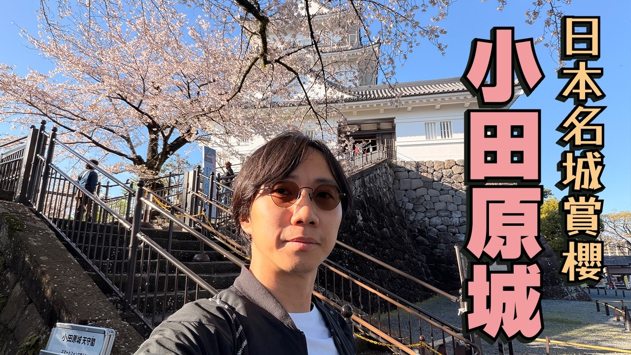 東京出發即日來回！日本名城賞櫻 小田原城滿開櫻花散步 🌸 豪食產地直送海鮮丼～