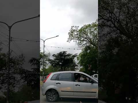 Un minuto por la Avenida Lastra 🚗🌳 | Chascomús