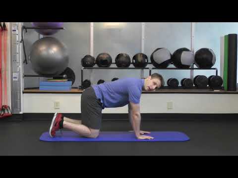 Exercise to Correct a Flat Thoracic Spine - Phase 1