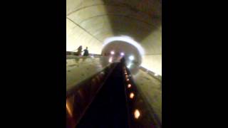 The rabbit hole how deep does it go .