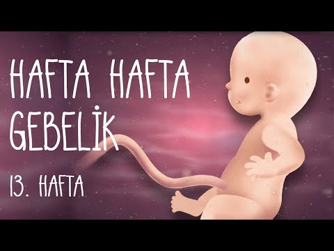 Hafta Hafta Gebelik 13. hafta