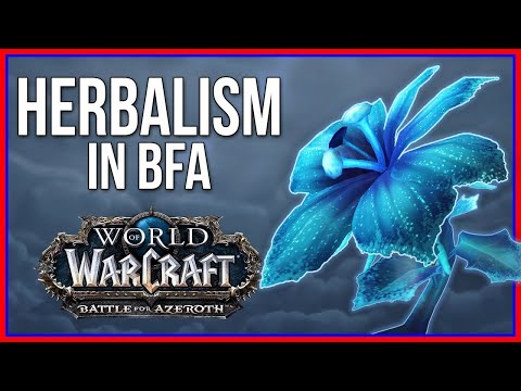 BFA HERBALISM : The best pathing to farm Winter's Kiss and Anchor Weed