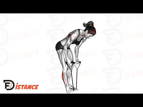 Exercice Étirement debout des mollets en tirant les orteils