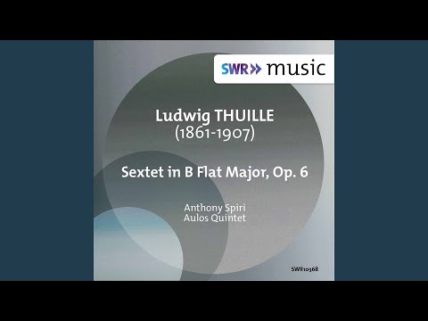 Sextet in B-Flat Major, Op. 6: I. Allegro moderato