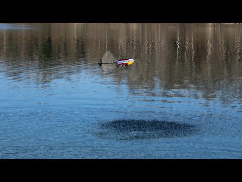 Align T-Rex 300X lake flight - Luca Pescante