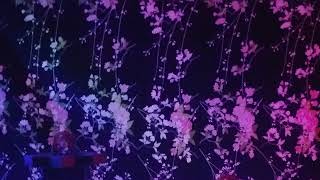 こーやこーどぉー