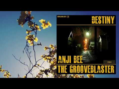 Anji Bee & The Grooveblaster - Destiny [Lyric Video]
