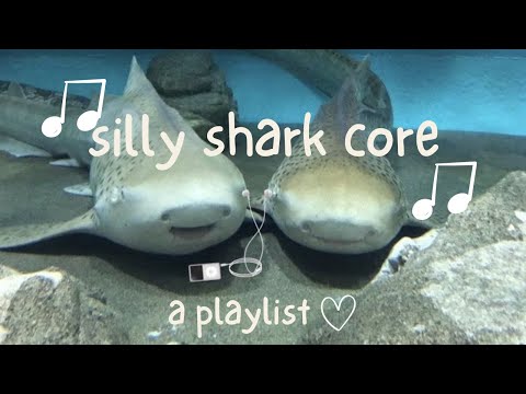 silly shark core // a playlist