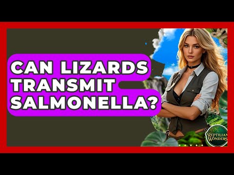 Can Lizards Transmit Salmonella? - Reptilian Wonders