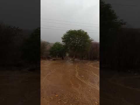 caído aquela CHUVA maravilhosa lá no povoado cacimba do Jatobá  Jurema Piauí,LA em mãe