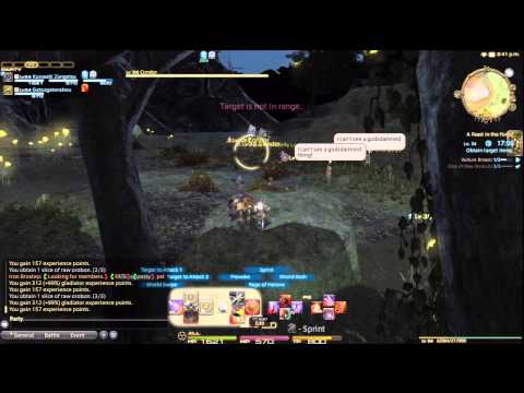 Final Fantaxy XIV : A Realm Reborn - How to level using Levequests and Grand Company Levequests