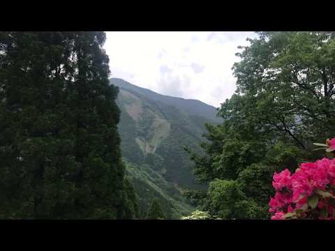 五家荘・平家の里（駐車場からの景色）