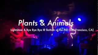 Plants &amp; Animals - Lightshow &amp; Bye Bye Bye (5/18/12)